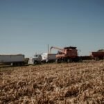 Tractors and harvesters working in a sunlit cropland during harvest season.