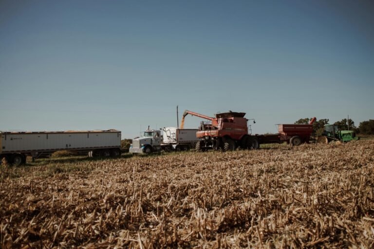 Tractors and harvesters working in a sunlit cropland during harvest season.